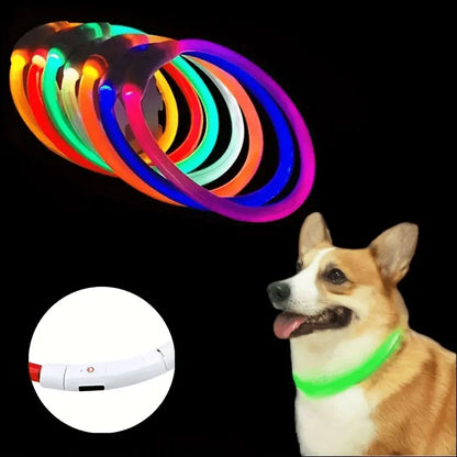 Collier lumineux LED pour chien de compagnie, Anti-perte, Rechargeable par USB