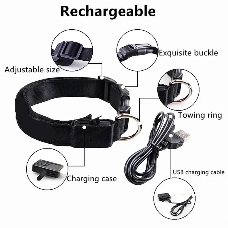 Collier de chien lumineux LED réglable clignotant Rechargea collier lumineux nuit Anti-perte harnais de lumière pour chien pour petits chiens produits pour animaux de compagnie